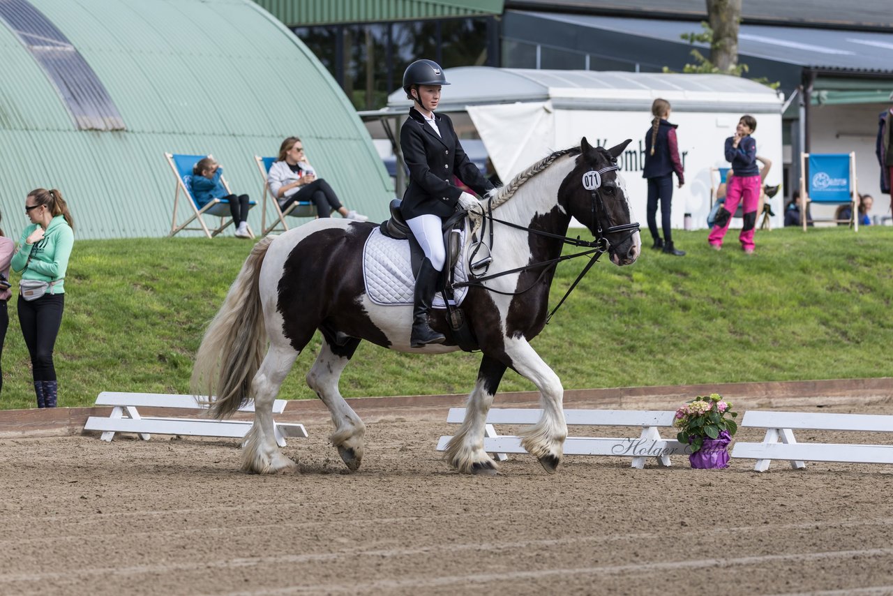 Bild 169 - Pony Akademie Turnier